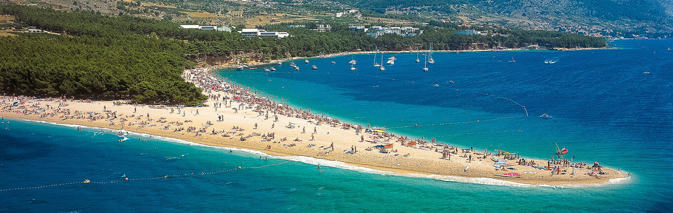Brac Bold Golden horn