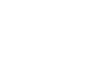 Boatripomis logo